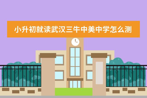 小升初就讀武漢三牛中美中學(xué)怎么測(cè)試？