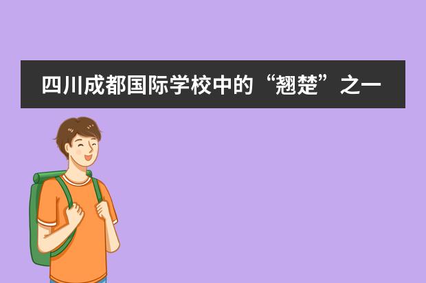 四川成都国际学校中的“翘楚”之一：巴德美际学校成都校区