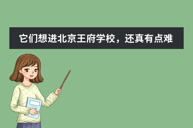 它們想進(jìn)北京王府學(xué)校，還真有點(diǎn)難