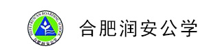 合肥润安公学logo图片