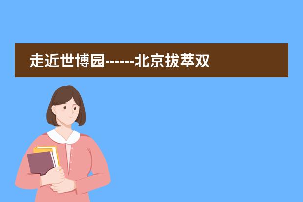 走近世博园------北京拔萃双语学校社会实践课活动