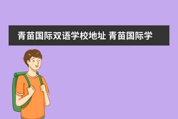 青苗国际双语学校地址 青苗国际学校和爱迪国际学校的区别?