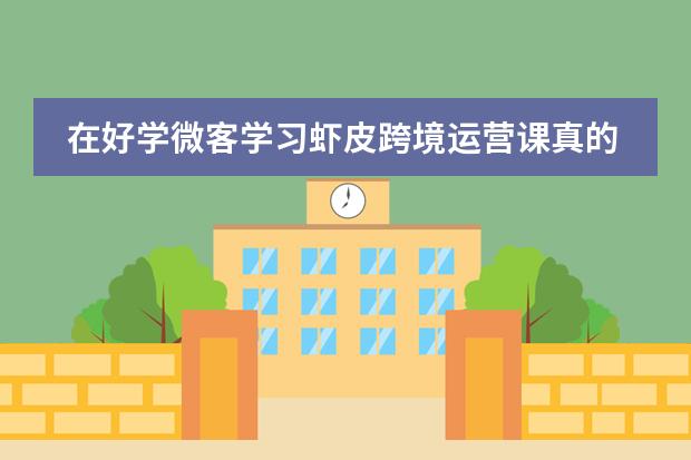 在好学微客学习虾皮跨境运营课真的值吗？图片