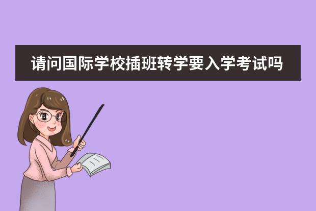 請(qǐng)問(wèn)國(guó)際學(xué)校插班轉(zhuǎn)學(xué)要入學(xué)考試嗎？圖片