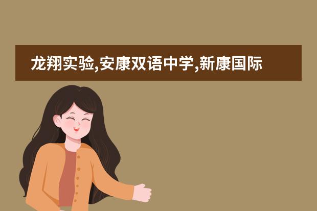 龍翔實驗,安康雙語中學(xué),新康國際實驗學(xué)校哪個好圖片