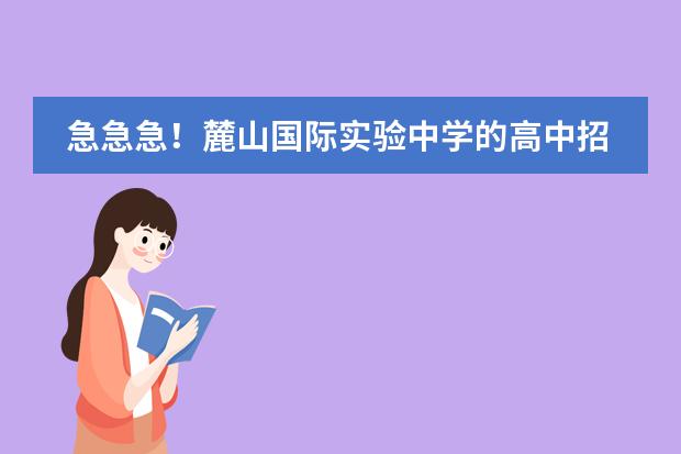 急急急！麓山国际实验中学的高中招生考试怎么考？？图片