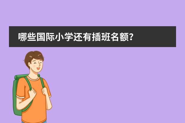 哪些國(guó)際小學(xué)還有插班名額？圖片