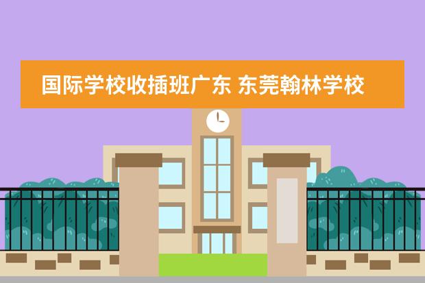 国际学校收插班广东 东莞翰林学校插班难不难考图片