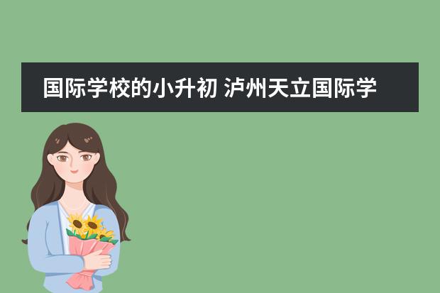 国际学校的小升初 泸州天立国际学校收费标准？