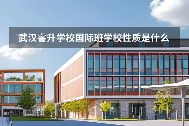 武汉睿升学校国际班学校性质是什么 招生阶段介绍