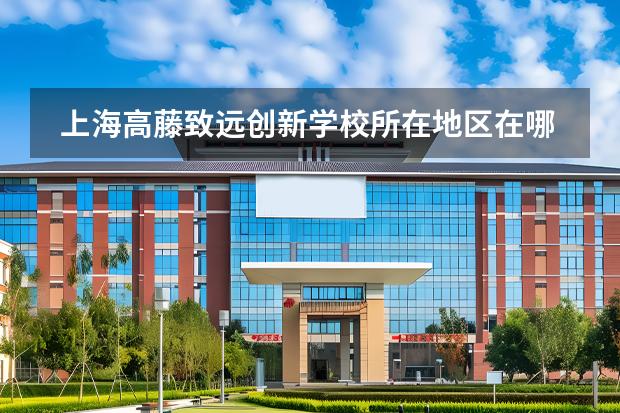 上海高藤致遠創(chuàng)新學校所在地區(qū)在哪里？