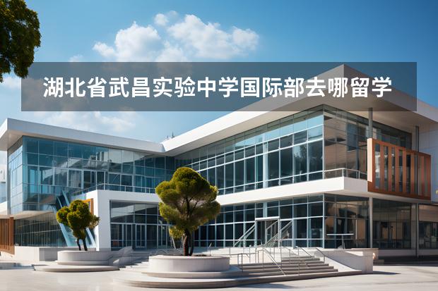 湖北省武昌實(shí)驗(yàn)中學(xué)國際部去哪留學(xué) 留學(xué)國家有哪些
