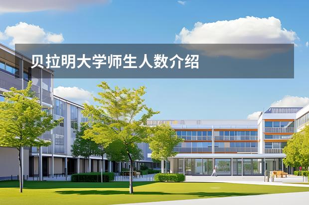 贝拉明大学师生人数介绍图片