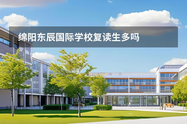 綿陽東辰國際學(xué)校復(fù)讀生多嗎