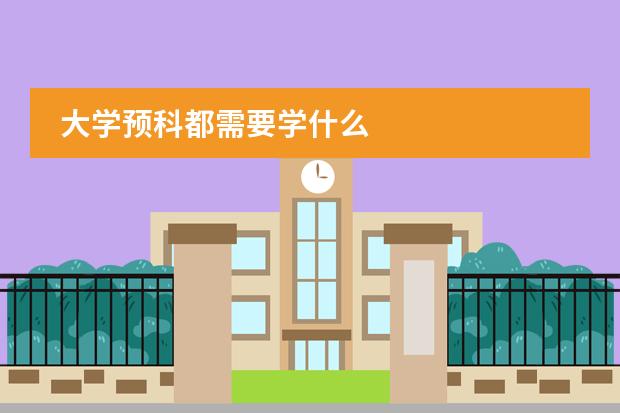 大學(xué)預(yù)科都需要學(xué)什么圖片