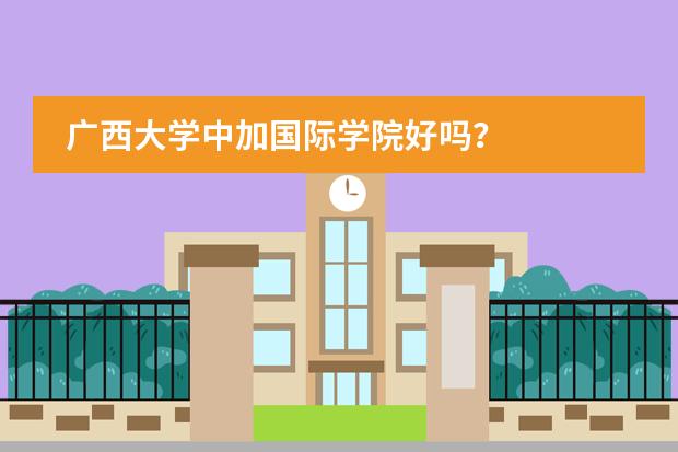 廣西大學(xué)中加國際學(xué)院好嗎？圖片