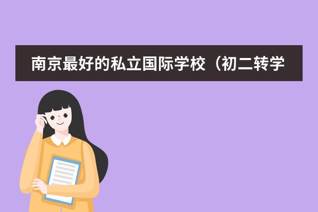 南京最好的私立國際學(xué)校（初二轉(zhuǎn)學(xué)去讀國際高中好不好）圖片