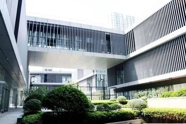 深圳國際預科書院圖片
