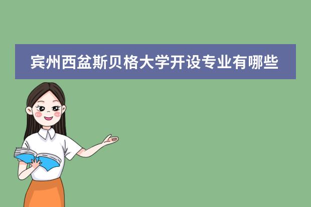 賓州西盆斯貝格大學(xué)開設(shè)專業(yè)有哪些（優(yōu)勢專業(yè)）圖片