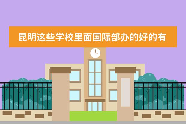 昆明這些學(xué)校里面國(guó)際部辦的好的有哪些？圖片